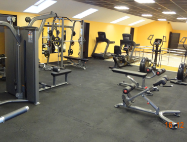 резиновая плитка в омске купить резиновая плитка в омске купить